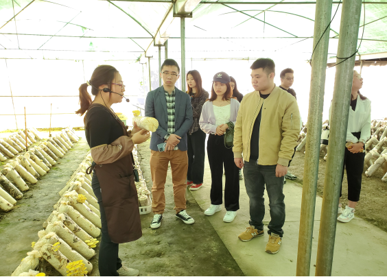 1612769143444010567.png 圖片2.png