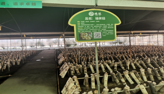 1612769160429029555.png 圖片3.png