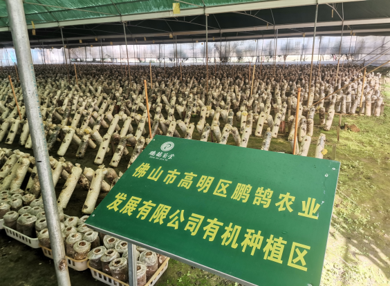 1612769169063005444.png 圖片4.png